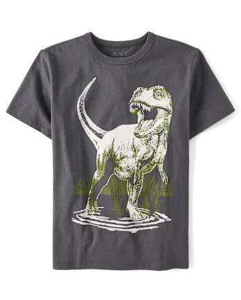 Boys Dino Graphic Tee - gray